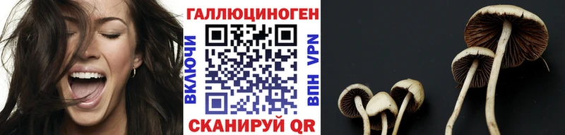 Псилоцибиновые грибы прущие грибы  что такое наркотик  Усть-Лабинск 